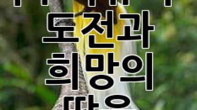 파푸아뉴기니: 도전과 희망의 땅을 찾아서